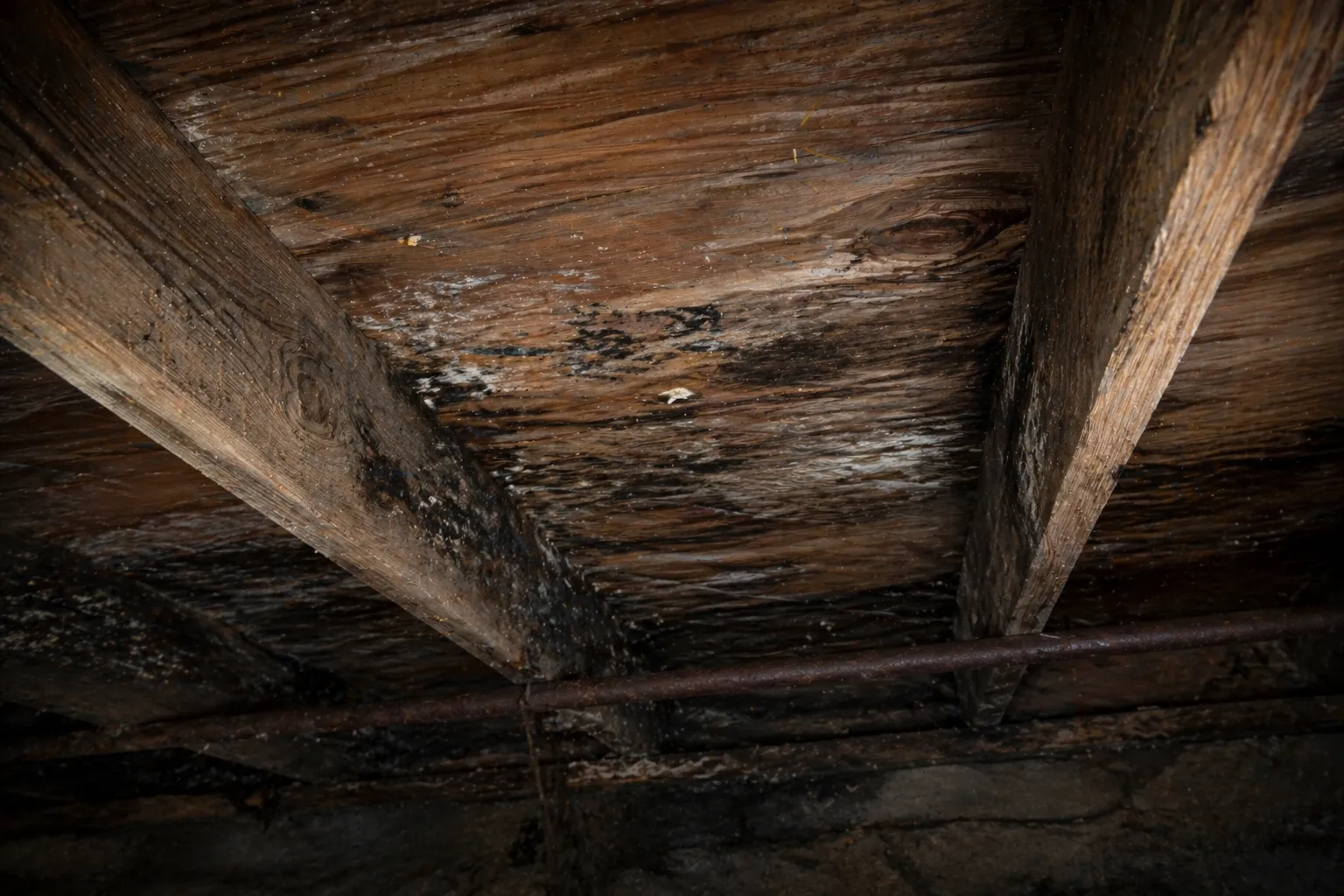 Mold on crawl space joists, a common sign of moisture damage without a vapor barrier